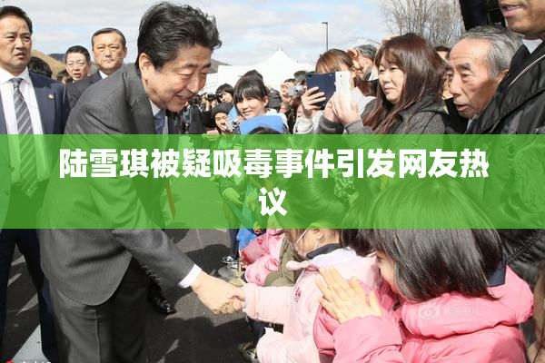 陆雪琪被疑吸毒事件引发网友热议