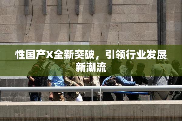 性国产X全新突破，引领行业发展新潮流