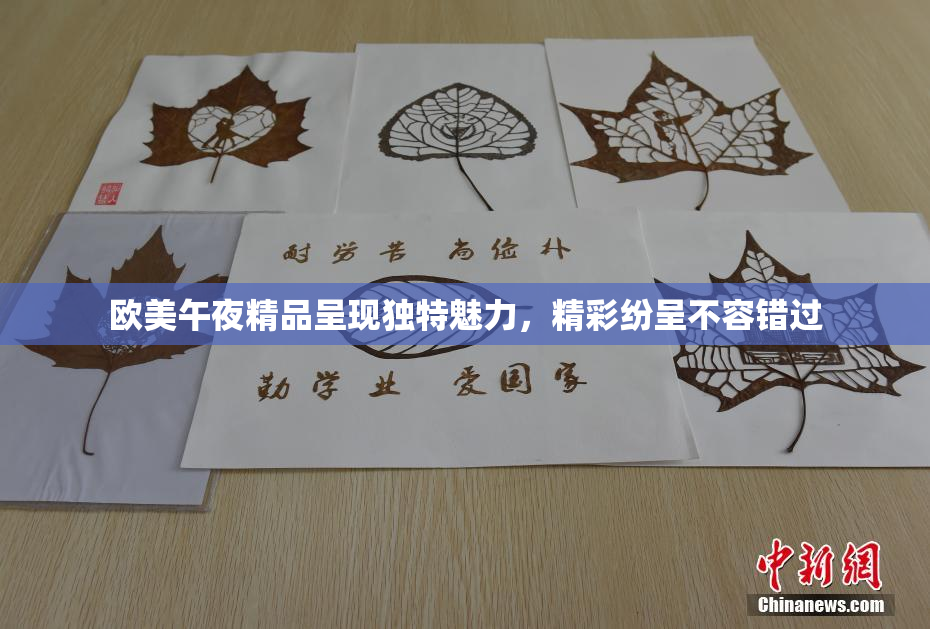 欧美午夜精品呈现独特魅力，精彩纷呈不容错过