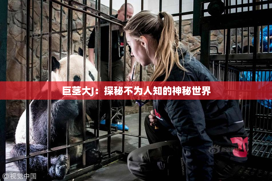 巨茎大J：探秘不为人知的神秘世界