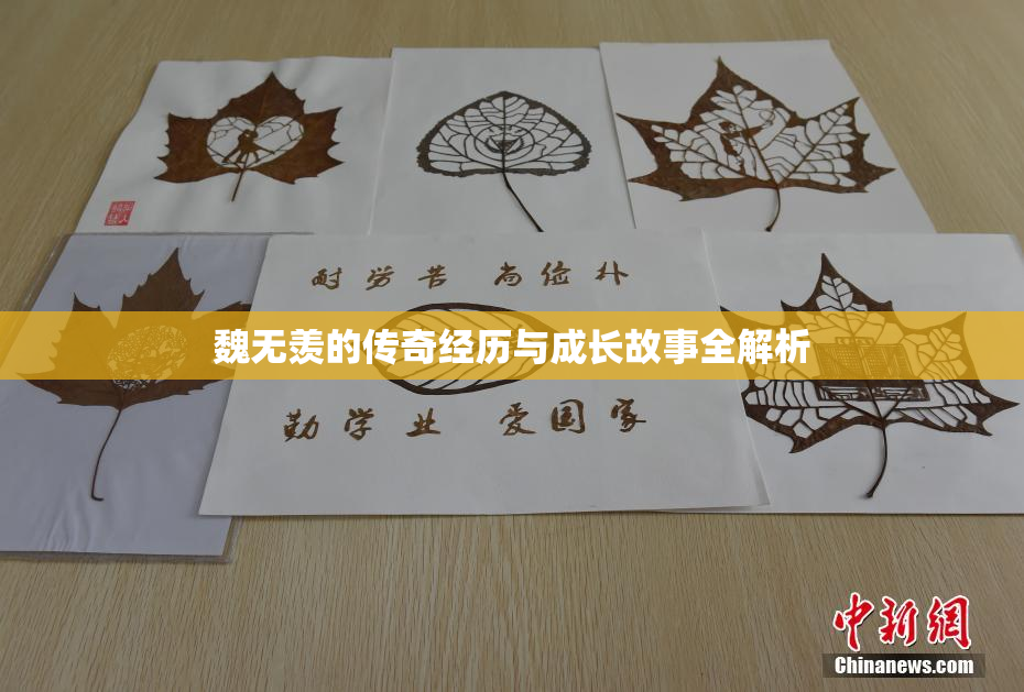 魏无羡的传奇经历与成长故事全解析