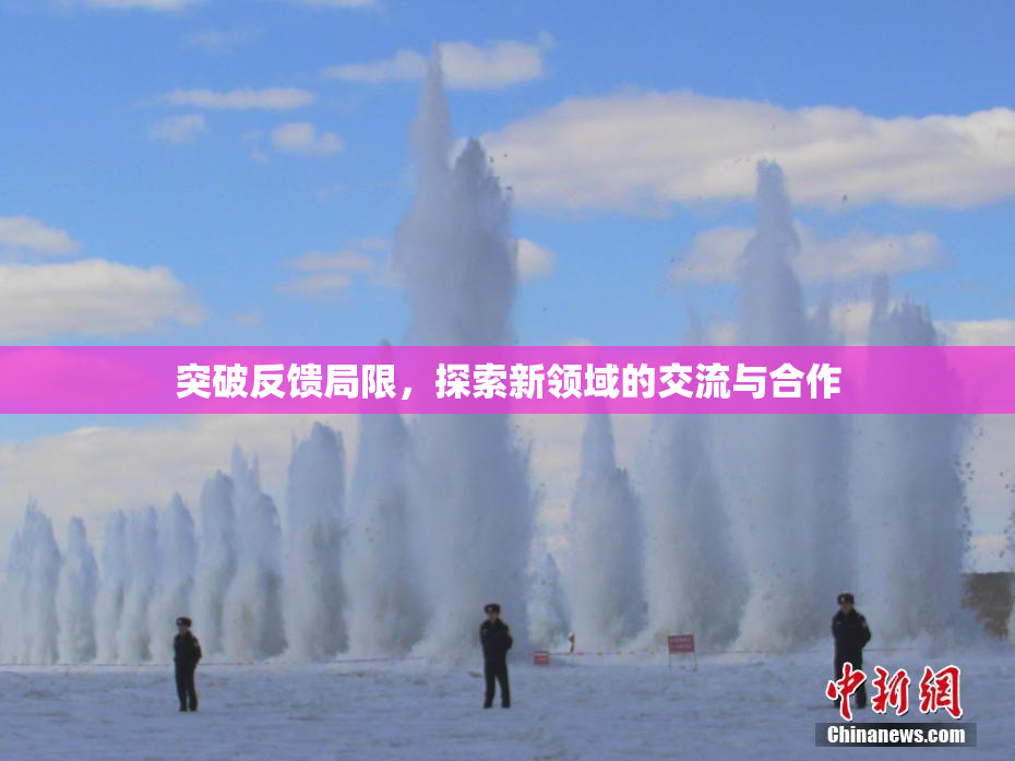 突破反馈局限，探索新领域的交流与合作