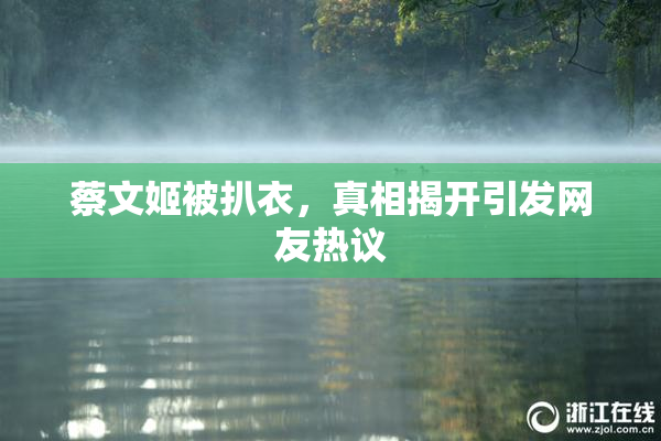 蔡文姬被扒衣，真相揭开引发网友热议