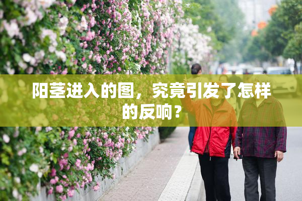 阳茎进入的图，究竟引发了怎样的反响？