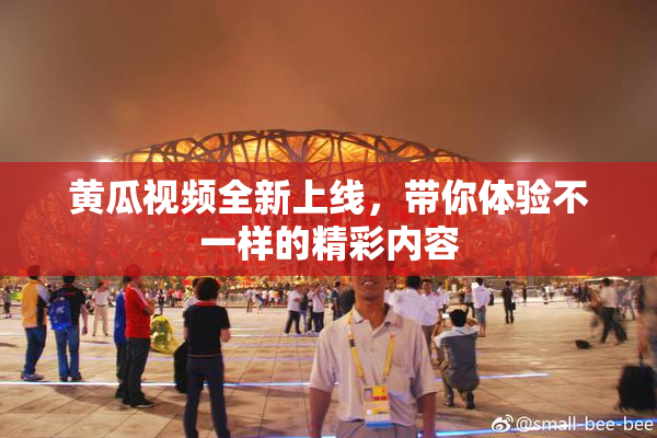 黄瓜视频全新上线，带你体验不一样的精彩内容