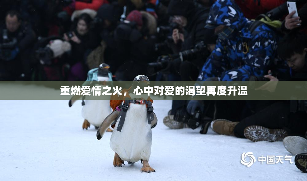重燃爱情之火，心中对爱的渴望再度升温