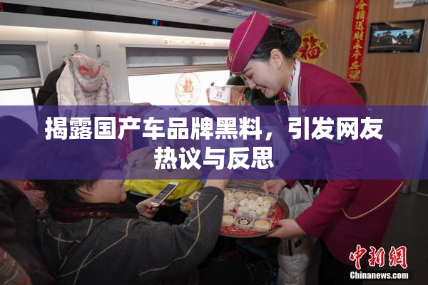 揭露国产车品牌黑料，引发网友热议与反思