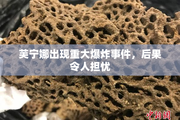 芙宁娜出现重大爆炸事件，后果令人担忧