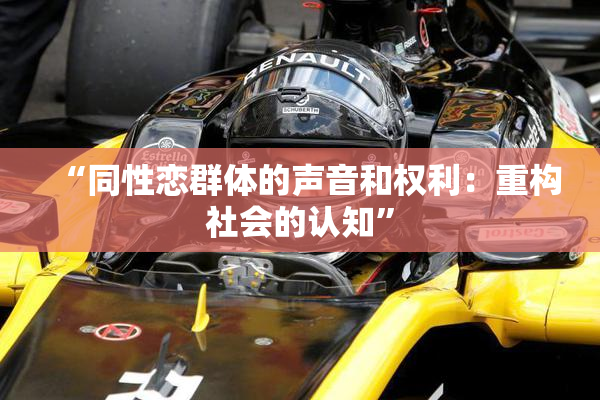 “同性恋群体的声音和权利：重构社会的认知”