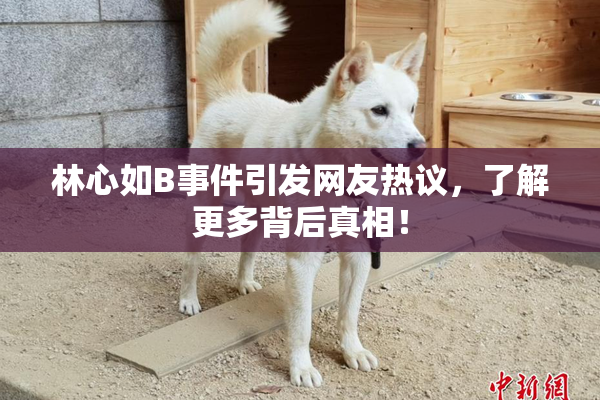 林心如B事件引发网友热议，了解更多背后真相！