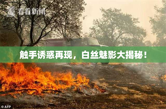 触手诱惑再现，白丝魅影大揭秘！
