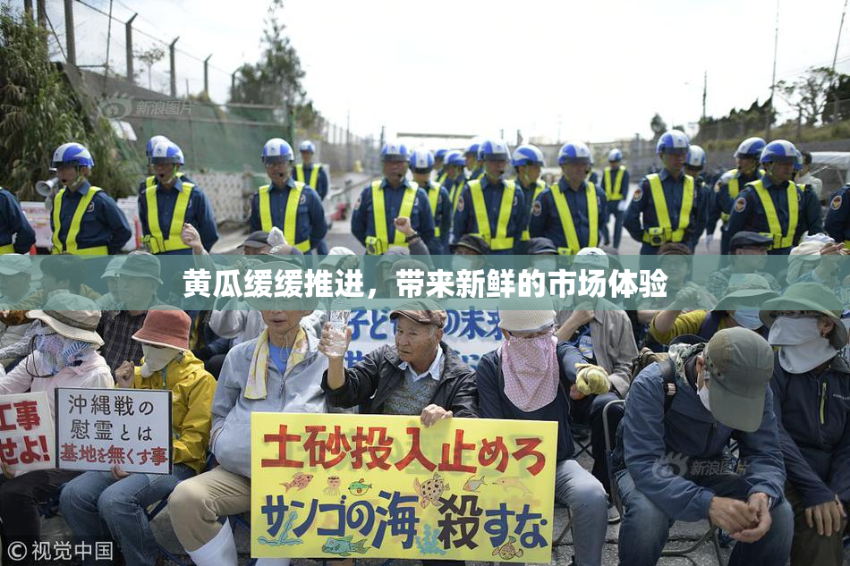 黄瓜缓缓推进，带来新鲜的市场体验