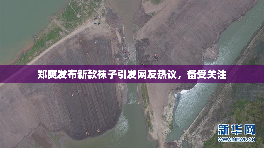 郑爽发布新款袜子引发网友热议，备受关注