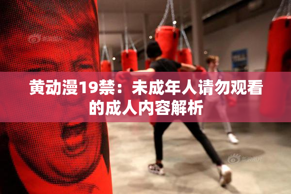 黄动漫19禁：未成年人请勿观看的成人内容解析