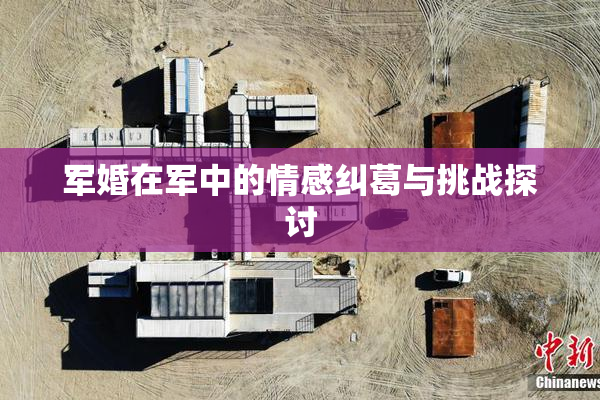 军婚在军中的情感纠葛与挑战探讨