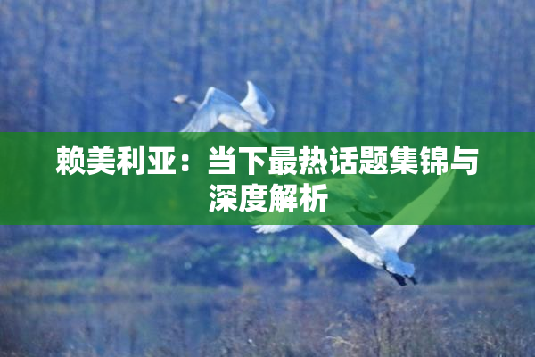 赖美利亚：当下最热话题集锦与深度解析