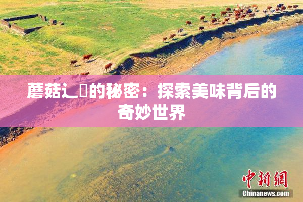 蘑菇辶喿的秘密：探索美味背后的奇妙世界