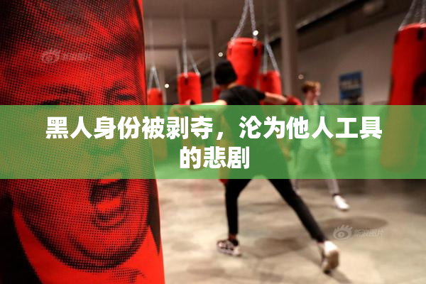 黑人身份被剥夺，沦为他人工具的悲剧