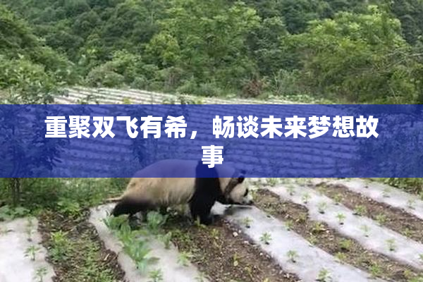 重聚双飞有希，畅谈未来梦想故事