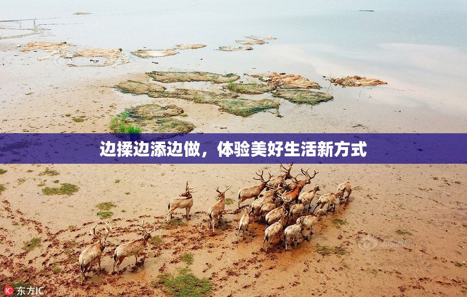 边揉边添边做，体验美好生活新方式