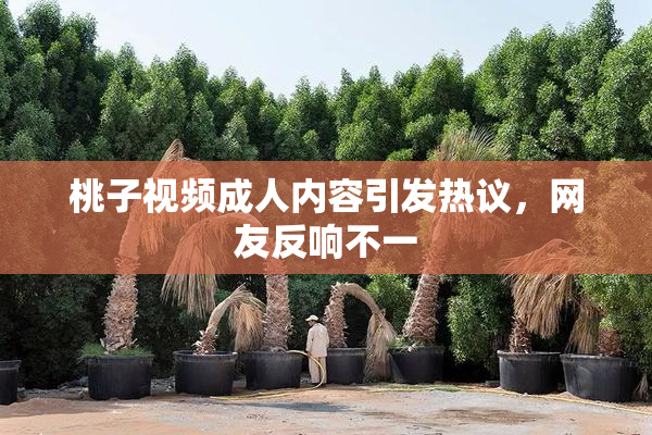 桃子视频成人内容引发热议，网友反响不一