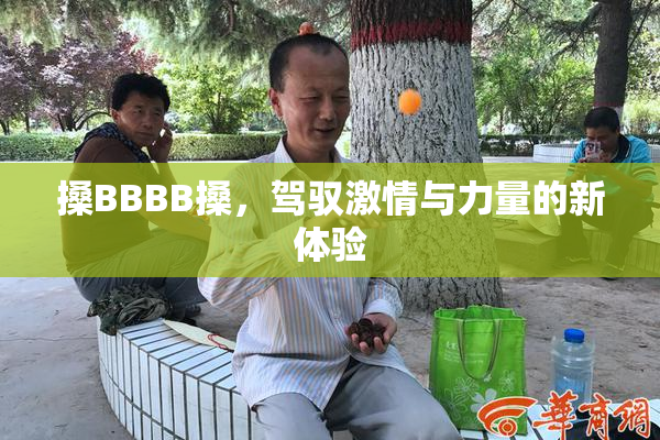 搡BBBB搡，驾驭激情与力量的新体验