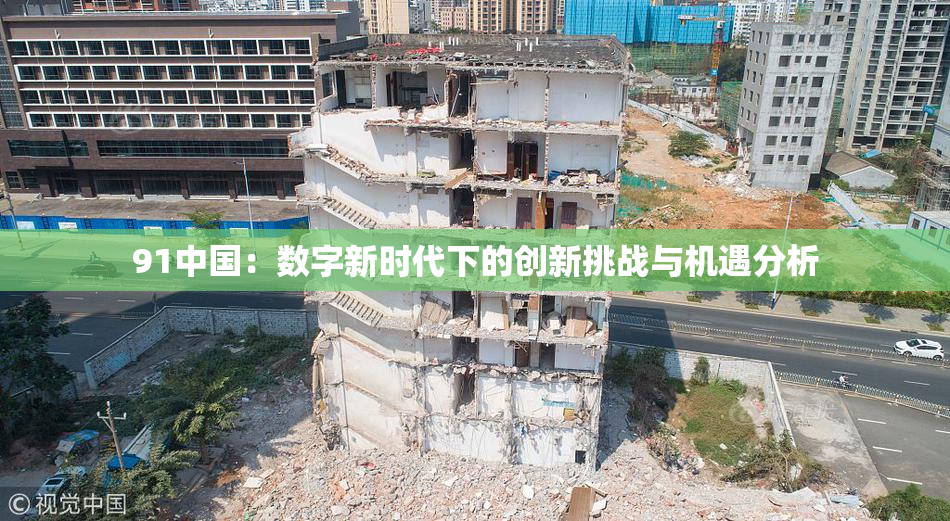 91中国：数字新时代下的创新挑战与机遇分析