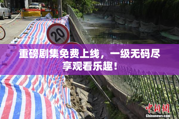 重磅剧集免费上线，一级无码尽享观看乐趣！