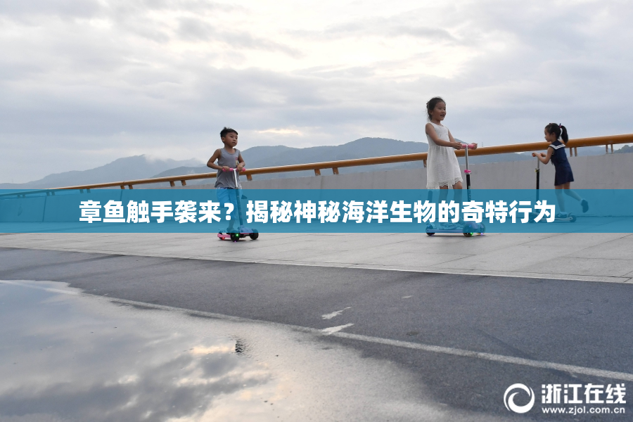 章鱼触手袭来？揭秘神秘海洋生物的奇特行为