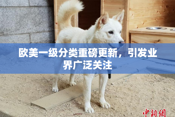 欧美一级分类重磅更新，引发业界广泛关注