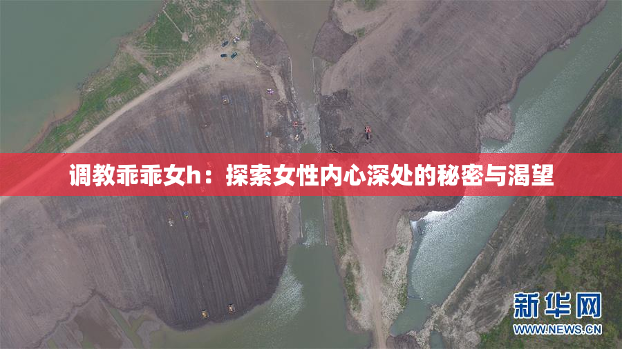 调教乖乖女h：探索女性内心深处的秘密与渴望