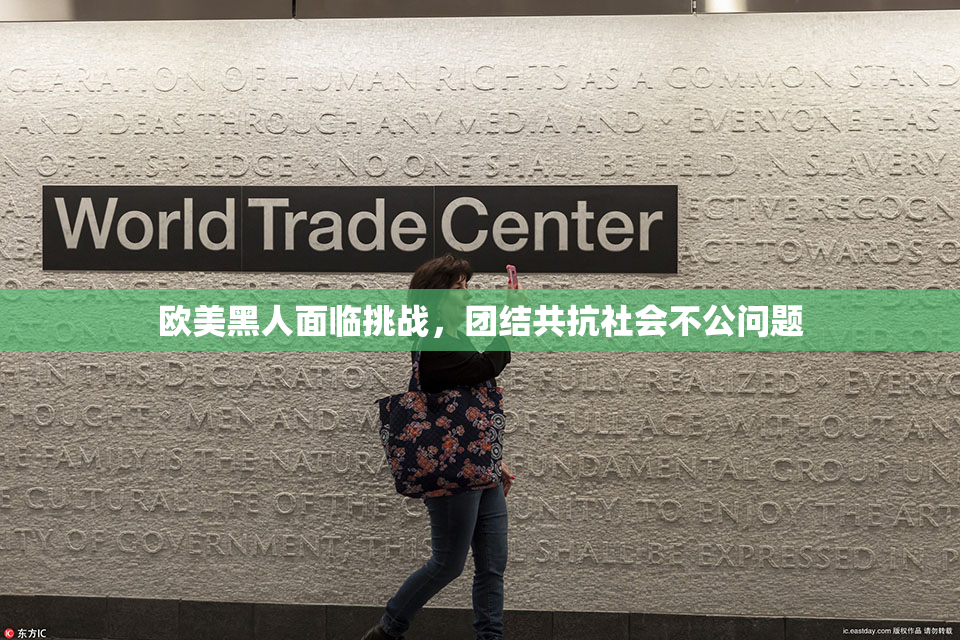 欧美黑人面临挑战，团结共抗社会不公问题