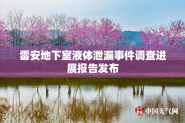 雷安地下室液体泄漏事件调查进展报告发布