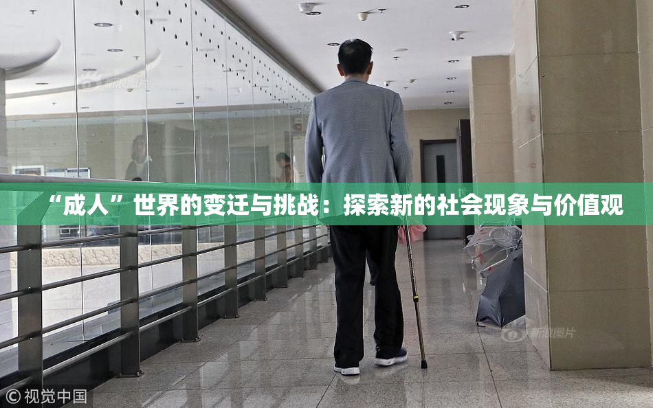 “成人”世界的变迁与挑战：探索新的社会现象与价值观