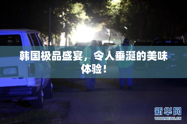 韩国极品盛宴，令人垂涎的美味体验！