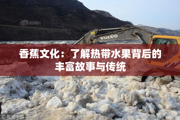 香蕉文化：了解热带水果背后的丰富故事与传统