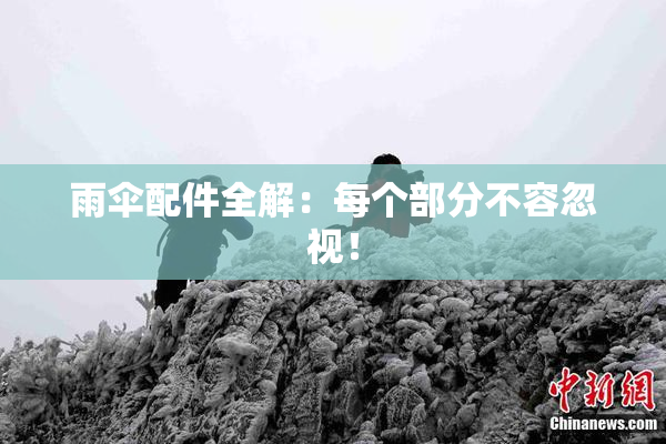 雨伞配件全解：每个部分不容忽视！