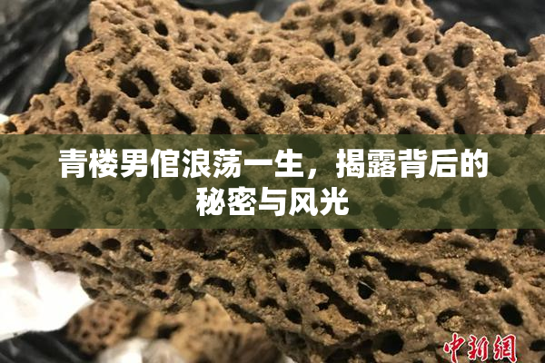 青楼男倌浪荡一生，揭露背后的秘密与风光
