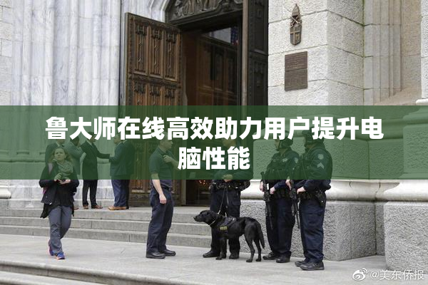 鲁大师在线高效助力用户提升电脑性能