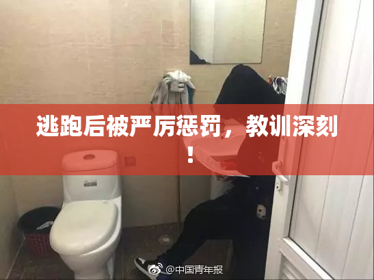 逃跑后被严厉惩罚，教训深刻！