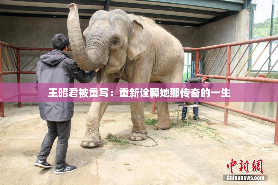 王昭君被重写：重新诠释她那传奇的一生