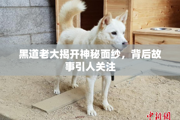 黑道老大揭开神秘面纱，背后故事引人关注