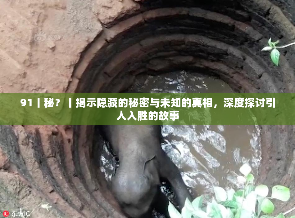 91丨秘？丨揭示隐藏的秘密与未知的真相，深度探讨引人入胜的故事
