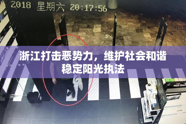 浙江打击恶势力，维护社会和谐稳定阳光执法