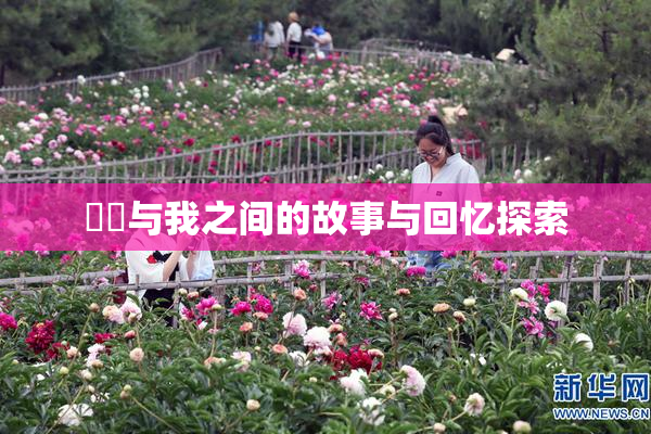 妺妺与我之间的故事与回忆探索