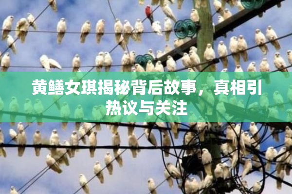 黄鳝女琪揭秘背后故事，真相引热议与关注
