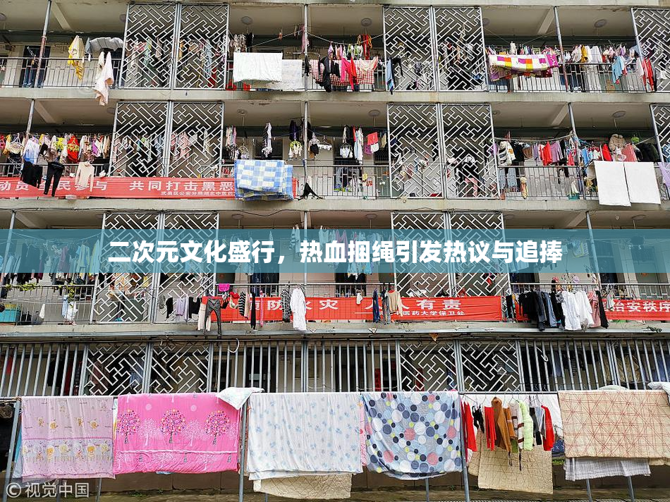 二次元文化盛行，热血捆绳引发热议与追捧