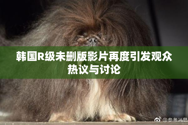 韩国R级未删版影片再度引发观众热议与讨论