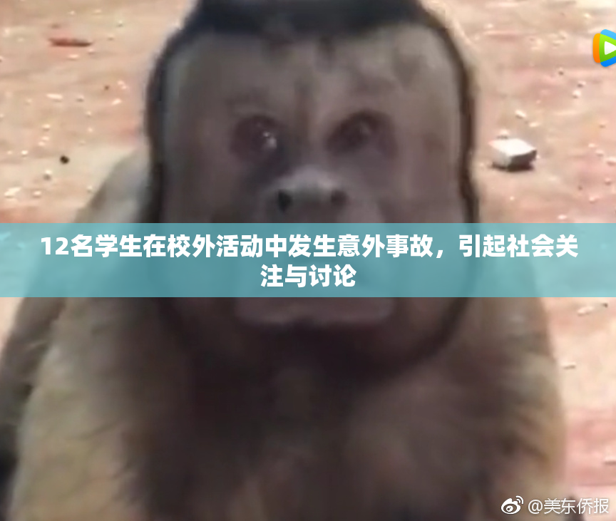 12名学生在校外活动中发生意外事故，引起社会关注与讨论