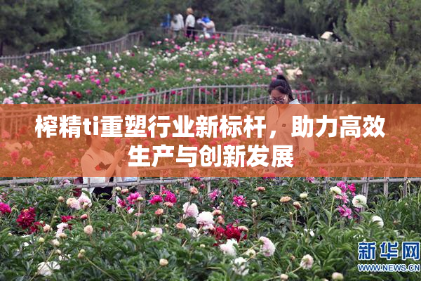 榨精ti重塑行业新标杆，助力高效生产与创新发展